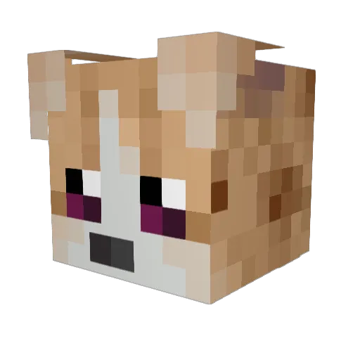 RixyRich Minecraft avatar head, 3D render