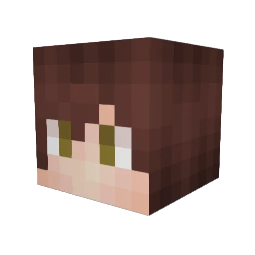 Riyley Minecraft avatar head, 3D render