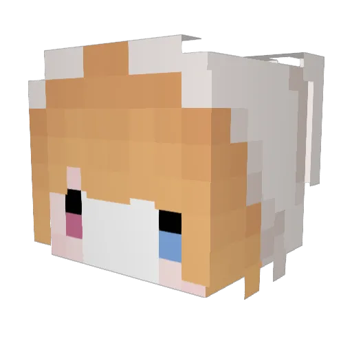 Riyuenor Minecraft avatar head, 3D render
