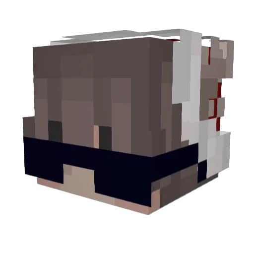 Rizza_mgy1 Minecraft avatar head, 3D render
