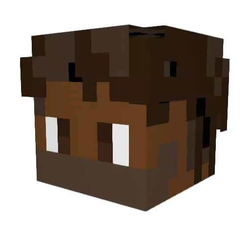 Rizzbrone Minecraft avatar head, 3D render