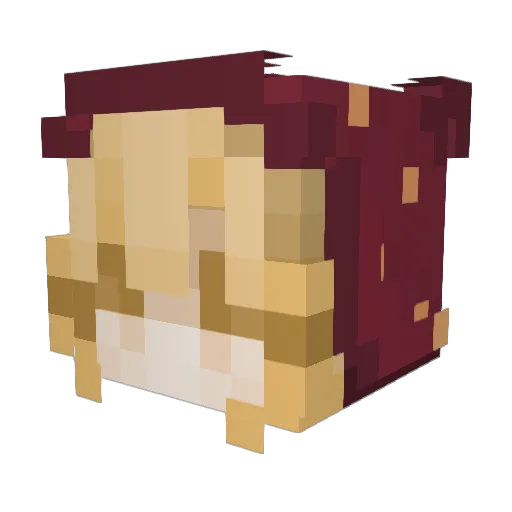 Rizzee_ Minecraft avatar head, 3D render