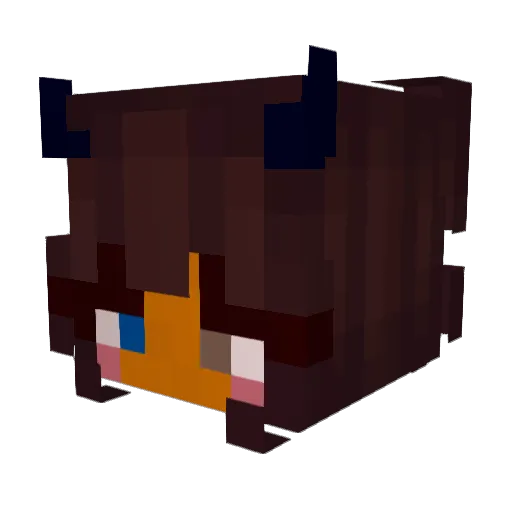 RjTheMisfit Minecraft avatar head, 3D render