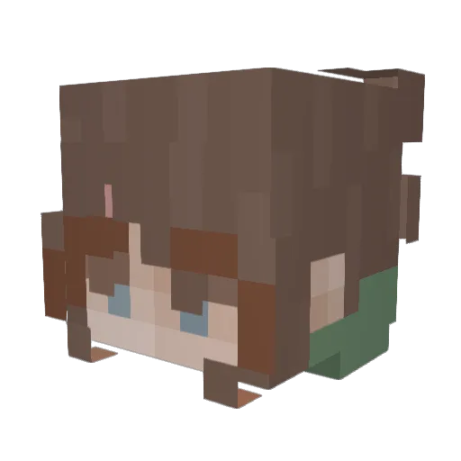 Rjeanpark Minecraft avatar head, 3D render