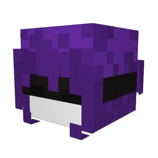 Rjtinha Minecraft avatar head, 3D render