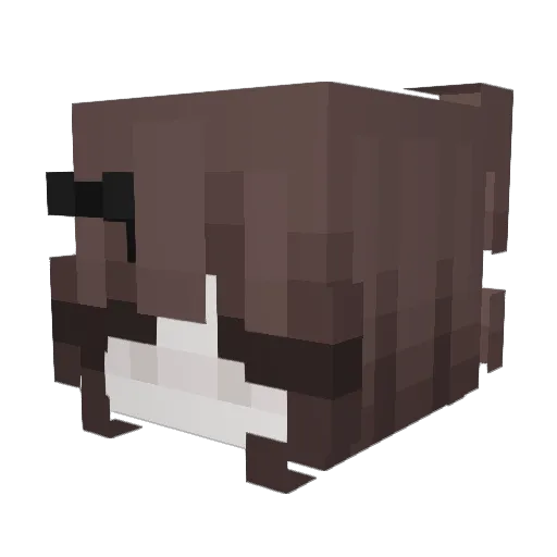 Rk2p Minecraft avatar head, 3D render