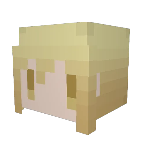 Rk_enmY Minecraft avatar head, 3D render