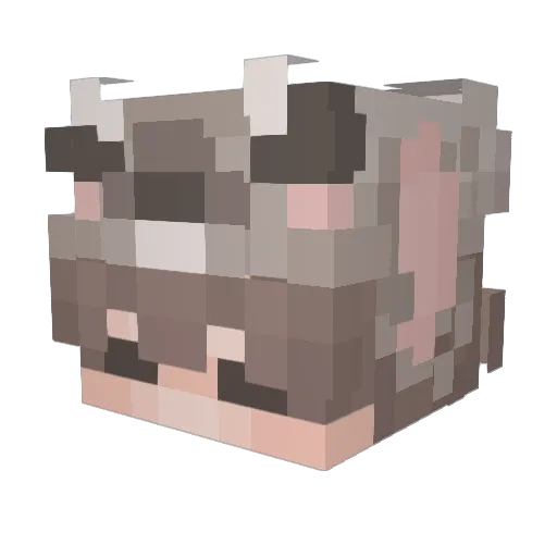 Rkn_ Minecraft avatar head, 3D render