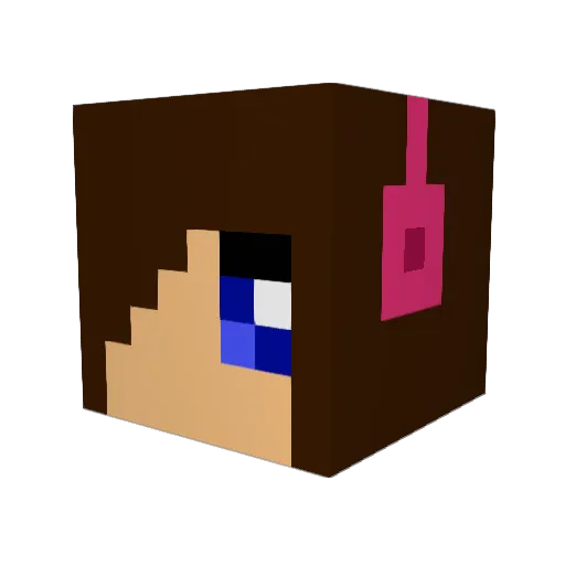 Rkp503 Minecraft avatar head, 3D render