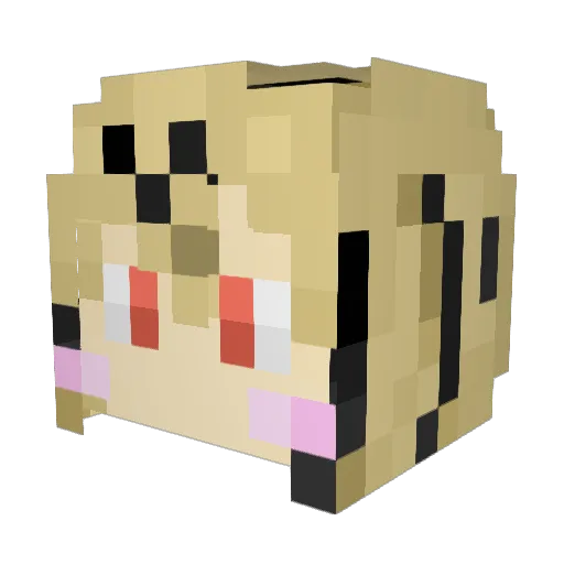 Rkun Minecraft avatar head, 3D render