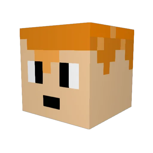 Rlz_JP Minecraft avatar head, 3D render