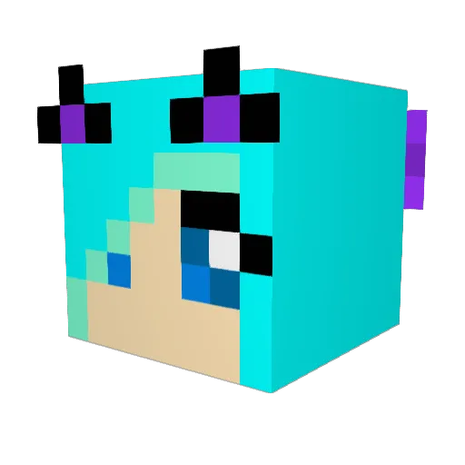 Rmadison Minecraft avatar head, 3D render