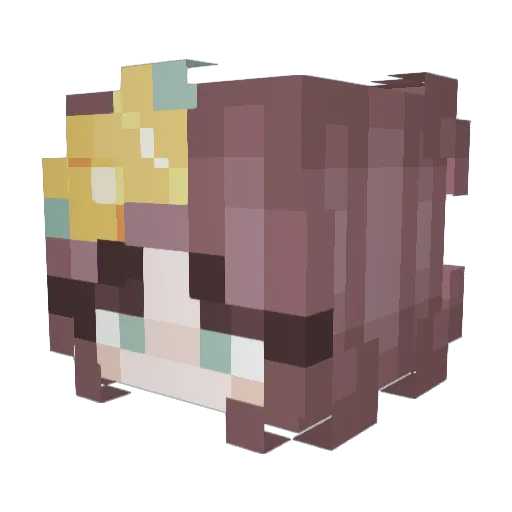 Rmhart20 Minecraft avatar head, 3D render