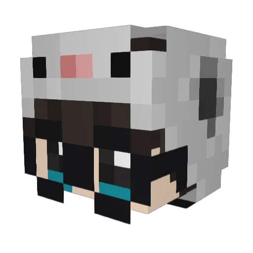 RmveRaywen Minecraft avatar head, 3D render