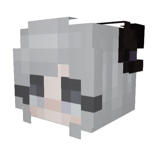 Rmw0131 Minecraft avatar head, 3D render