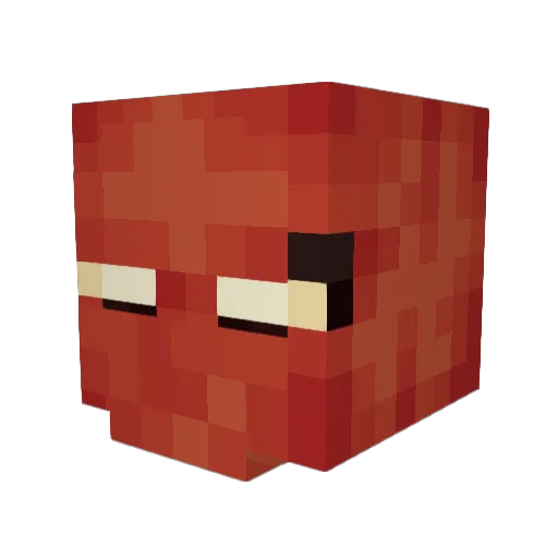 RnBr_ Minecraft avatar head, 3D render