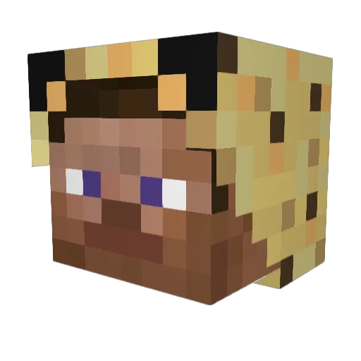 RndmJannik Minecraft avatar head, 3D render