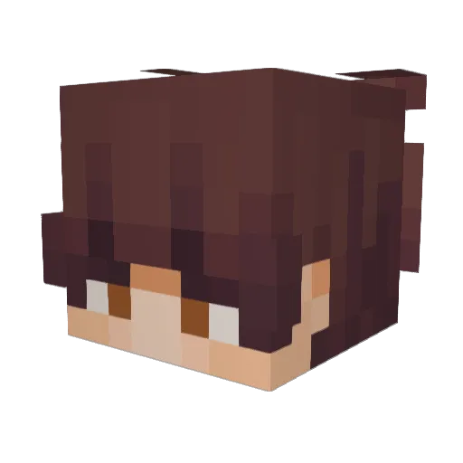 Rndm_Coldified Minecraft avatar head, 3D render
