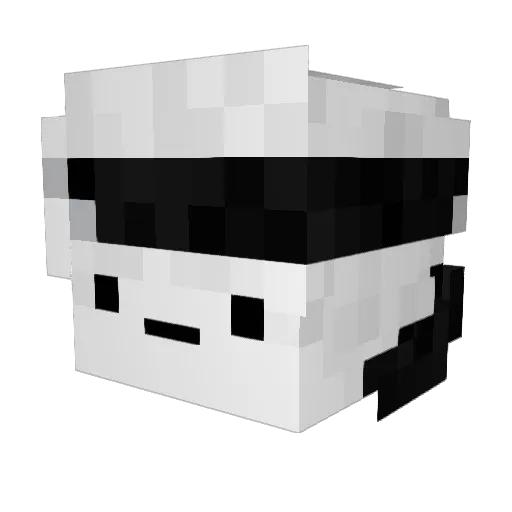 RngIsAScam Minecraft avatar head, 3D render