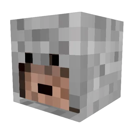 Rnicolson95 Minecraft avatar head, 3D render