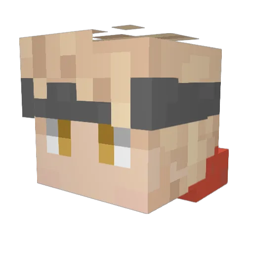 Rniver Minecraft avatar head, 3D render