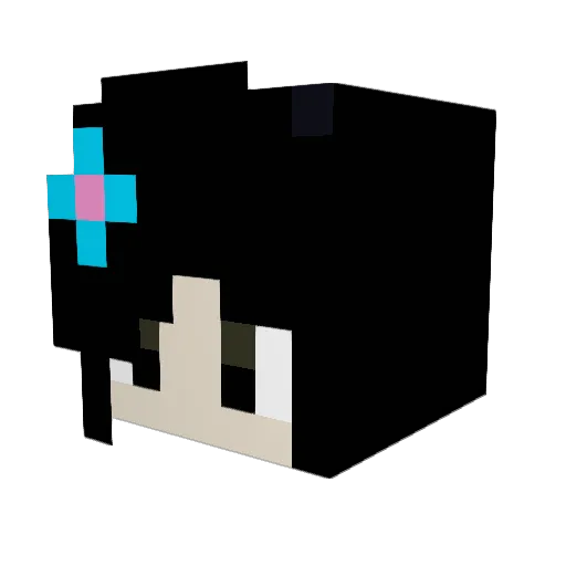 Rnkchi Minecraft avatar head, 3D render