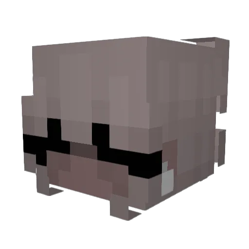 Rnrose Minecraft avatar head, 3D render
