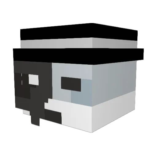 Ro061n_ Minecraft avatar head, 3D render