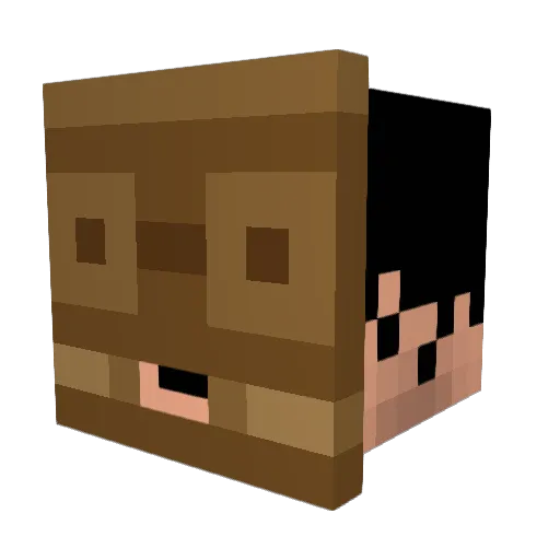 Ro0Ok Minecraft avatar head, 3D render