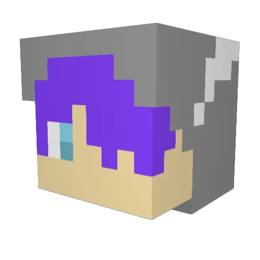 Ro6Na Minecraft avatar head, 3D render