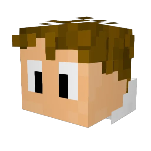 RoBros2815 Minecraft avatar head, 3D render