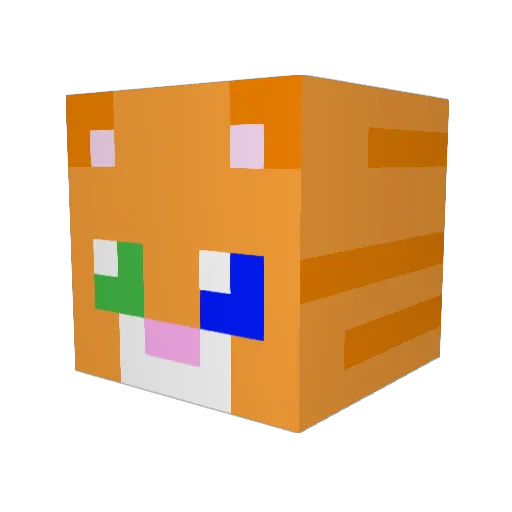 RoCat_21 Minecraft avatar head, 3D render