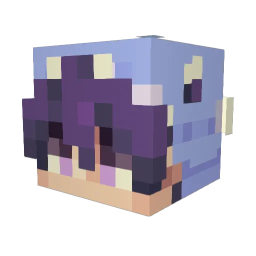 RoCraft_2010 Minecraft avatar head, 3D render