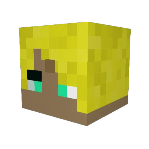 RoKo__RoKoko Minecraft avatar head, 3D render