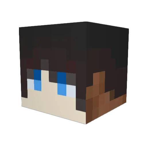 RoLiang_ Minecraft avatar head, 3D render
