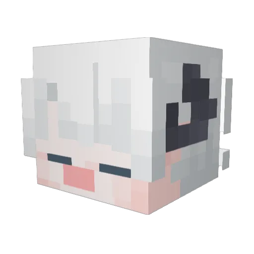 RoMing__ Minecraft avatar head, 3D render