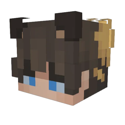 RoNYnK7 Minecraft avatar head, 3D render