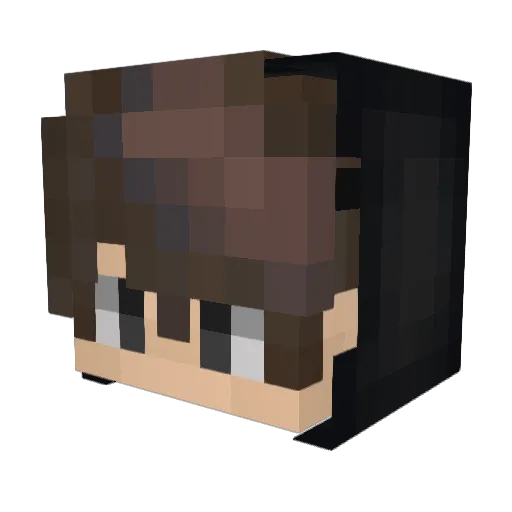 RoNeN_24 Minecraft avatar head, 3D render