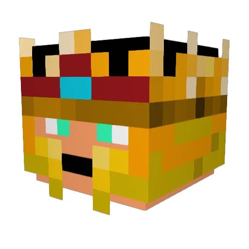 RoNnIeA14 Minecraft avatar head, 3D render