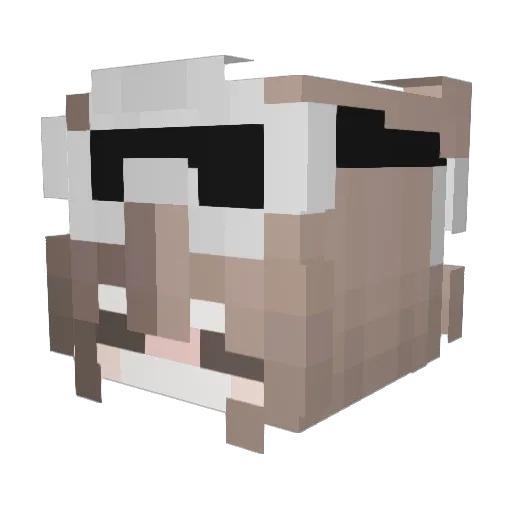 RoNtIc66 Minecraft avatar head, 3D render