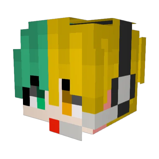 RoPi_ Minecraft avatar head, 3D render