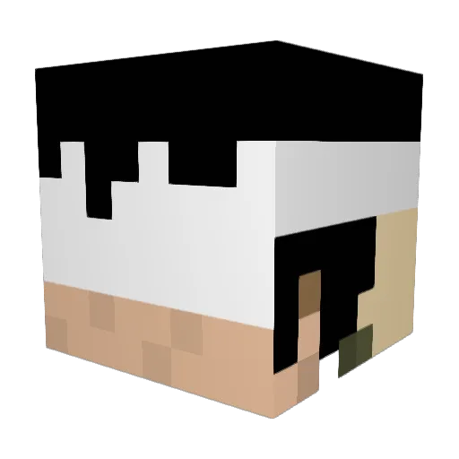RoRiRyu Minecraft avatar head, 3D render