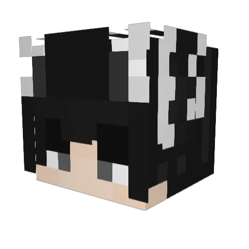 RoRoAce Minecraft avatar head, 3D render