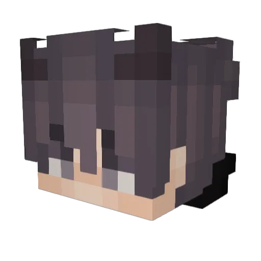 RoSch13 Minecraft avatar head, 3D render