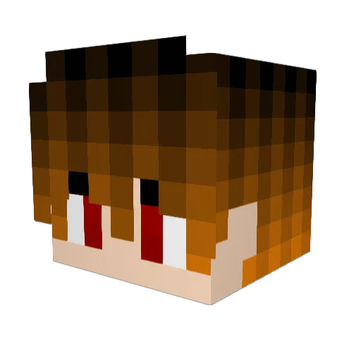 RoXaS43 Minecraft avatar head, 3D render