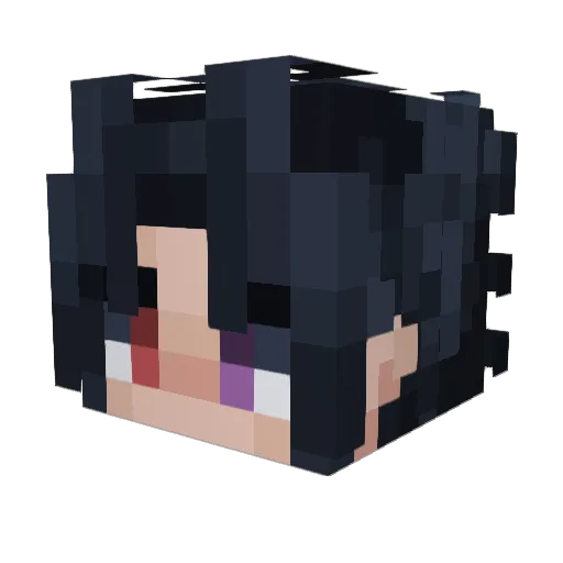 Ro_gamer09 Minecraft avatar head, 3D render