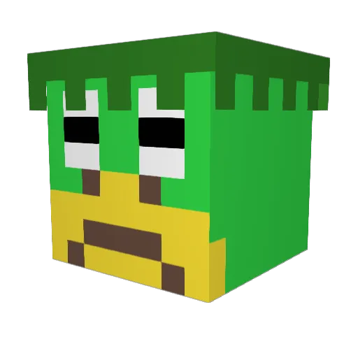 Ro_hi Minecraft avatar head, 3D render