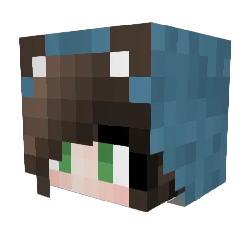 Ro_o0 Minecraft avatar head, 3D render