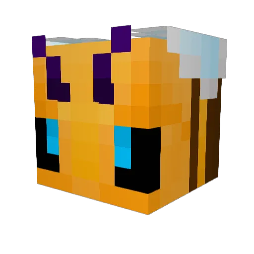 Roache2491 Minecraft avatar head, 3D render