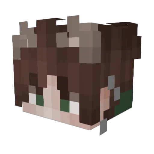 Roaches10 Minecraft avatar head, 3D render